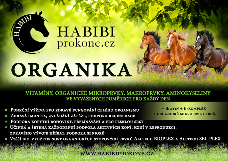 HABIBI ORGANIKA - vybalancovaná denní potřeba vitamínů a minerálů 20kg / 333dní